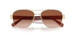 COACH Women's Shiny Gold Brown Aviator Sunglasses