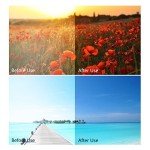 Polarized Vintage Rectangular Sunglasses for Men/Women