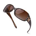 Fashion Butterfly Polarized Sunglasses for Women