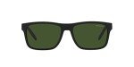 Matte Black ARNETTE Men's Sunglasses with Dark Green Lenses