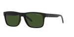 Matte Black ARNETTE Men's Sunglasses with Dark Green Lenses