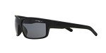 ARNETTE Rubber Black Sunglasses AN 4202 447/81