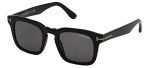 Tom Ford Dax Sunglasses in Black/Smoke