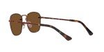 Persol PO2490S Brown Polarized Square Sunglasses