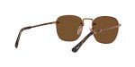 Persol PO2490S Brown Polarized Square Sunglasses