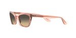 Ray-Ban Lady Burbank Cat Eye Sunglasses - Pink/Brown