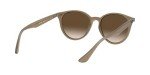 Ray-Ban RB4305 Opal Beige Round Sunglasses