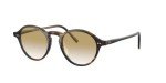 Oliver Peoples Maxson Bark 48mm Demo Sunglasses
