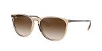 Ray-Ban Women's Phantos Sunglasses with Gradient Lenses