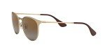 Ray-Ban Erika Round Sunglasses, Matte Gold/Brown