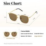 Veda Tinda Vision Round Polarized Sunglasses - Gold Frame