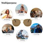 Veda Tinda Vision Round Polarized Sunglasses - Gold Frame