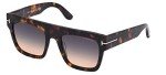 Tom Ford Renee Dark Havana Women's Sunglasses