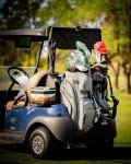 Pins & Aces Cart Bag - 14-Way, Full Length Dividers, Single Strap - Velvet Lined (Ash)
