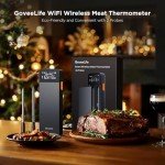 GoveeLife Wireless Meat Thermometer with 2 Probes, Unlimited Range WiFi Meat Thermometer with Digital LCD Rechargeable Base, APP Recipes, Bluetooth Food Cooking Thermometer for BBQ Grill, Oven, Smoker