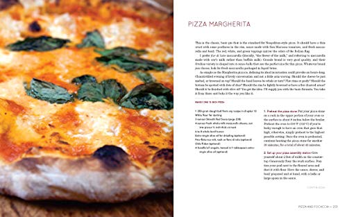 Artisan Pizza Cookbook: Flour Water Salt Yeast [Fundamentals]