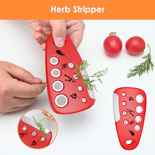 Pisol Kitchen 6-Piece Pizza Gadget Set