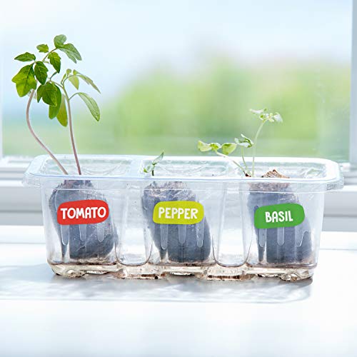 Kids Pizza Garden Kit - Grow Your Pizza Ingredients