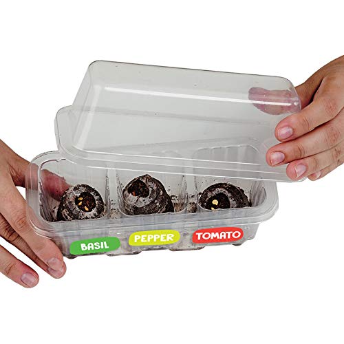 Kids Pizza Garden Kit - Grow Your Pizza Ingredients