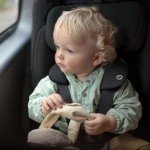 Maxi-Cosi Nomad Plus Portable Car Seat - Black