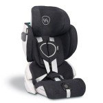 RyRy Foldable Compact Car Seat & Travel Bag