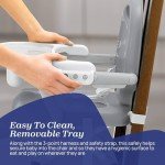 Chicco Portable Adjustable Booster Seat - Dark Grey