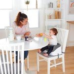 Ingenuity SmartClean High Chair with 3-Point Straps
