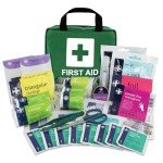 Lewis-Plast 90-Piece Premium First Aid Kit