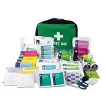 Lewis-Plast Medical Emergency Kit - 309 Pieces