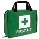 Lewis-Plast Medical Emergency Kit - 309 Pieces