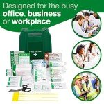 Small Workplace First Aid Kit – Wall Mountable