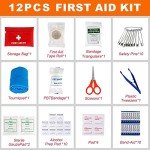 Ultimate Car Emergency Kit for Roadside Assistance