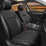 Luxury Black Panther Front Seat Cover for All Seasons