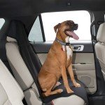 Universal Waterproof Neoprene Car Front Seat Covers