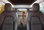 GXT Dog Seat Cover for Cars and SUVs