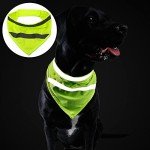 High-Visibility Triangle Reflective Bandana for Dogs