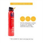UKB4C 600g Fire Extinguisher for Cars and Homes
