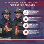 Portable Fire Extinguishers Set for Home and Auto