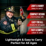 ReinoldMax Mini Fire Extinguisher for Vehicles and Boats