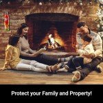 ReinoldMax Mini Fire Extinguisher for Vehicles and Boats