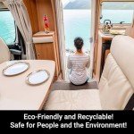 ReinoldMax Mini Fire Extinguisher for Vehicles and Boats