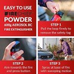 Firechief Aerosol BC Fire Extinguisher, 600g, Red