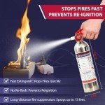 Ougist Portable Water-Based Fire Extinguisher for Vehicles