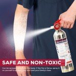 Ougist Portable Water-Based Fire Extinguisher for Vehicles