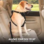 Dog Seat Belt Heavy Duty Pet Car Seat Belt Dog Harness Adjustable Safety Lead Cat Vehicle Travelling Seatbelt Car Restraint Attachment Leash Clip For Dogs Travel Accessories Assorted Colours (1Pc)