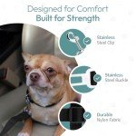 Dog Seat Belts For Cars Uk | Dog Seat Belt Adjustable For Cars | Dog Safety Seatbelt | Leash Dog Car Harness for Vehicle Travelling | Dog Safety Car Lead Clip | Uses For Dogs Cats Pets (SMALL) (BLACK)