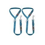 Comfortable Dog Seat Belt Harness for Car - 2-in-1 Leash and Restraint Secures to Headrest. Adjustable Bungee, Strong, Durable, 360 Degree Swivel Attach Won't Twist, Reflective, Easy to Use (Blue)