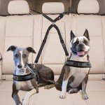 SlowTon Double Dog Seat Belt, New Dual Pet Car Headrest Restraint Safety Seatbelt No Tangle Dog Leash Duty Adjust Elastic Bungee Puppy Lead Splitter Connect Harness in Vehicle Travel for 2 dog (Black)