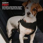 DriveSafe Pet Car Safety Belt: Adjustable Seat Belt for Dogs and Cats up to 69cm