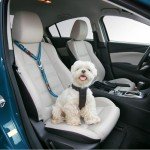 Comfortable Dog Seat Belt Harness for Car - 2-in-1 Leash and Restraint Secures to Headrest. Adjustable Bungee, Strong, Durable, 360 Degree Swivel Attach Won't Twist, Reflective, Easy to Use (Blue)